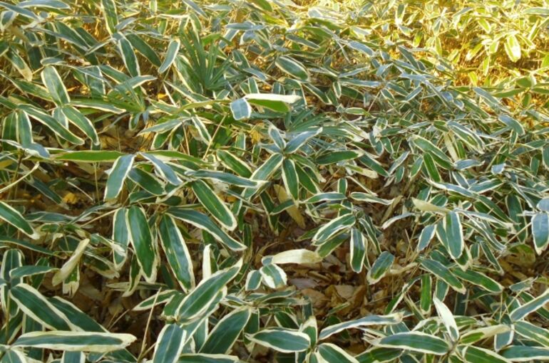 1498930_s (2)
